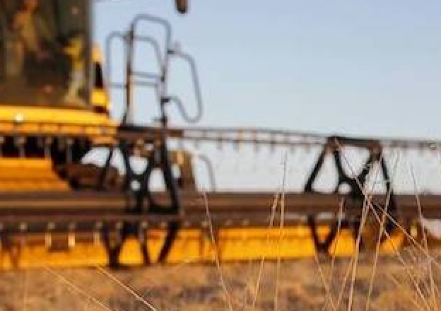 Органическое земледелие: мой опыт выращивания сои